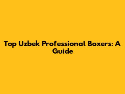 Top Uzbek Professional Boxers: A Guide
