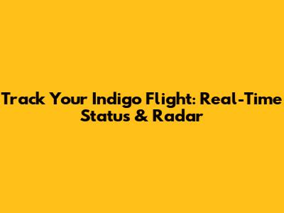 Track Your Indigo Flight: Real-Time Status & Radar