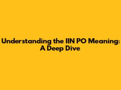 Understanding the IIN PO Meaning: A Deep Dive