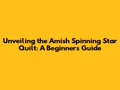 Unveiling the Amish Spinning Star Quilt: A Beginner's Guide
