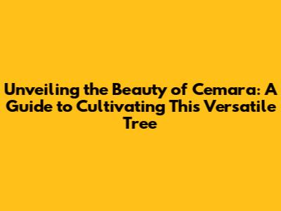 Unveiling the Beauty of Cemara: A Guide to Cultivating This Versatile Tree