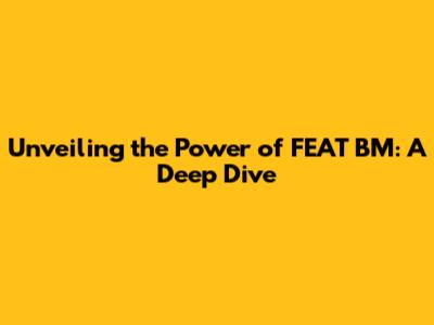 Unveiling the Power of FEAT BM: A Deep Dive