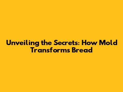 Unveiling the Secrets: How Mold Transforms Bread