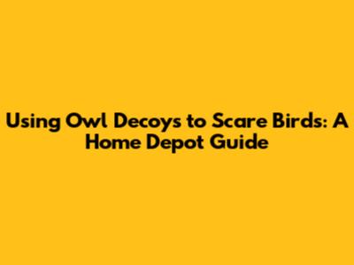 Using Owl Decoys to Scare Birds: A Home Depot Guide