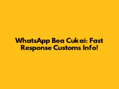 WhatsApp Bea Cukai: Fast Response Customs Info!