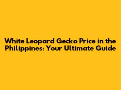White Leopard Gecko Price in the Philippines: Your Ultimate Guide