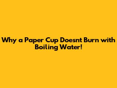 Why a Paper Cup Doesn't Burn with Boiling Water!