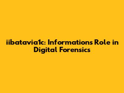 iibatavia1c: Information's Role in Digital Forensics